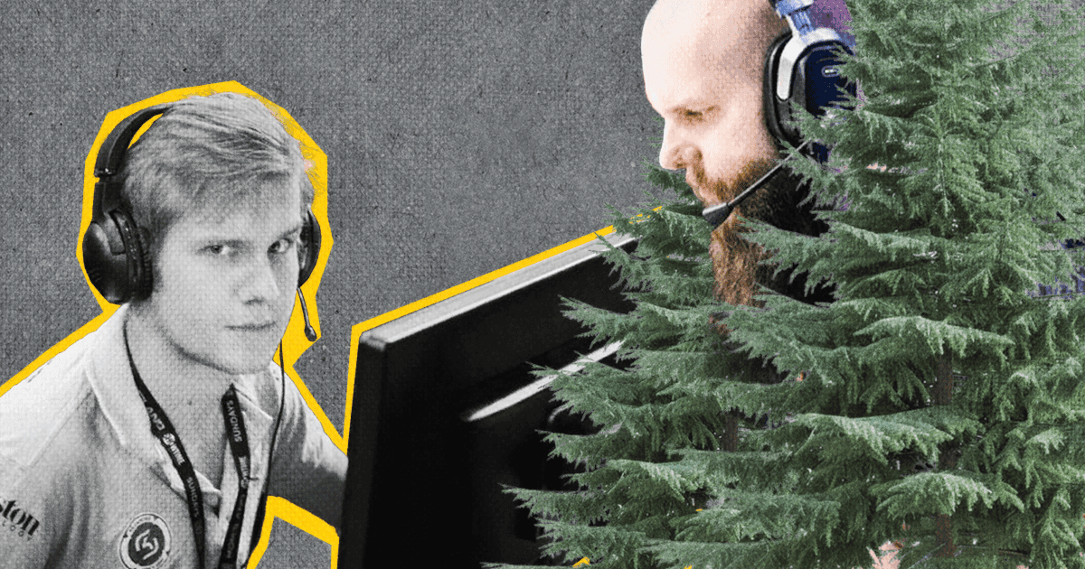 The evergreen ninja