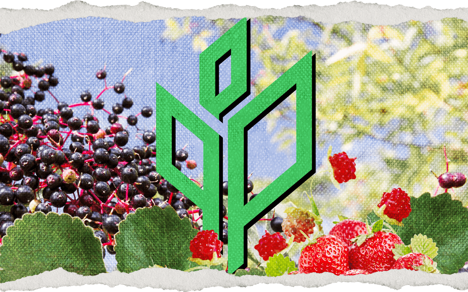 What’s your favourite BERRY?